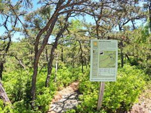 Pictures on the hiking mossy glen trail