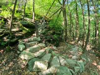 Stony Kill Falls Trail June 2022