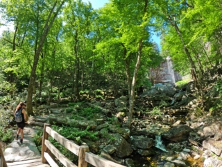 Stony Kill Falls Trail June 2022