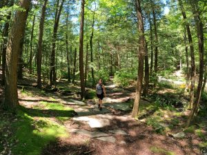 Pictures on the hiking mossy glen trail