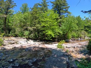 Pictures on the hiking mossy glen trail