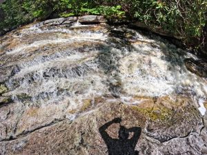 Pictures on the hiking mossy glen trail