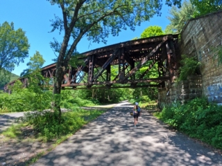 Water Tubing at Delaware River