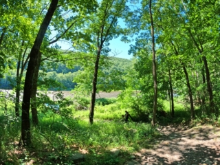 Delaware River Tubing Pictures