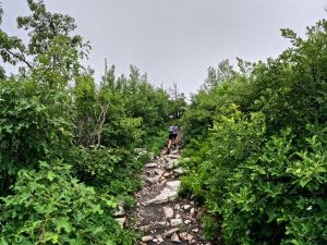 Picture Hiking Sams Point Ice Caves in June 2022
