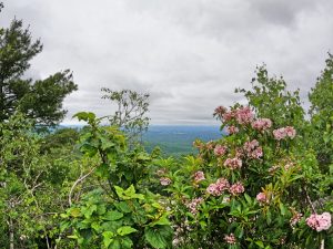 Picture Hiking Sams Point Ice Caves in June 2022