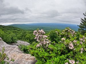 Picture Hiking Sams Point Ice Caves in June 2022