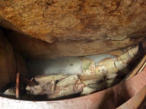 Picture Hiking Sams Point Ice Caves in June 2022