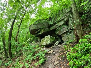 Picture Hiking Sams Point Ice Caves in June 2022