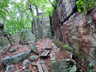 Hiking the Ice Caves at Sams Point Image