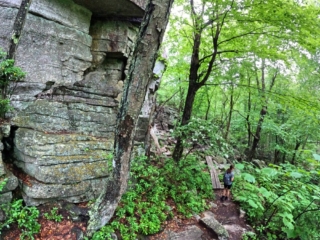 Sam's Point Dwarf Pine Ridge Preserve