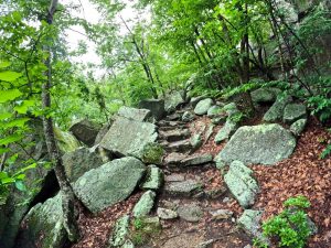 Picture Hiking Sams Point Ice Caves in June 2022