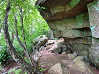Sam's Point Dwarf Pine Ridge Preserve