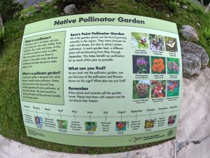 Picture Hiking Sams Point Ice Caves in June 2022