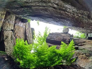 Picture Hiking Sams Point Ice Caves in June 2022