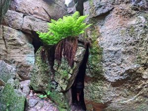 Picture Hiking Sams Point Ice Caves in June 2022