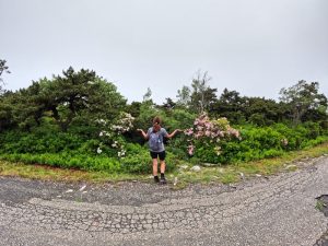 Picture Hiking Sams Point Ice Caves in June 2022