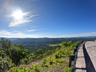 Roosa Gap State Forest