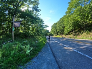 Roosa Gap State Forest