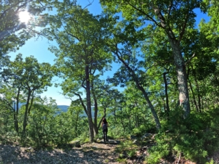 Hiking the Shawangunks Photos