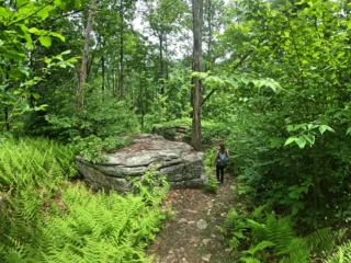 Pictures Hiking the Gunks