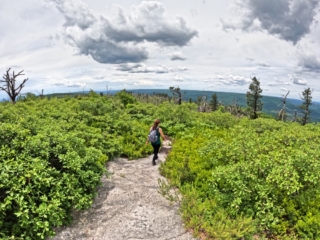 Pictures Hiking the Gunks