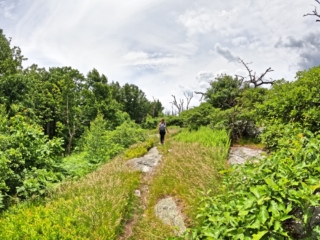 Pictures Hiking the Shawangunk Mountains