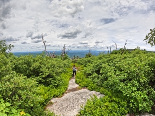 Long Path and Shawangunk Ridge trail