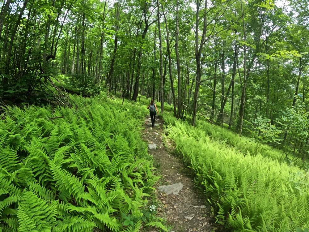 Hiking the Long Path Trail on the Shawangunk Mountains