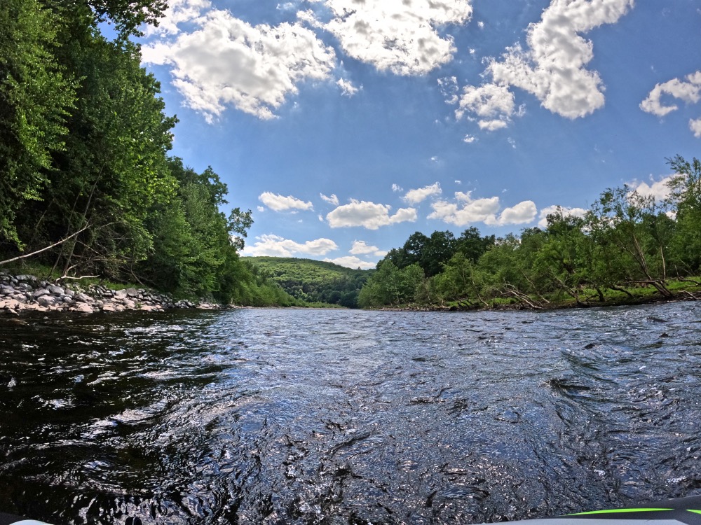 Pictures from tubing on the Delaware river near Sparrow Bush NY