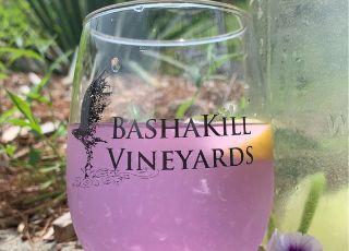 Bashakill Vineyard