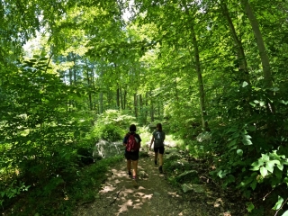 Black Mountain Hiking Trail Images