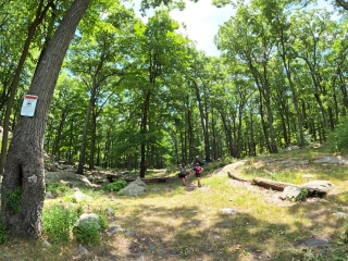 Black Mountain Hiking Trail Images