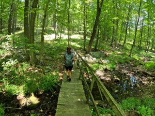 Black Mountain Hiking Trail Images