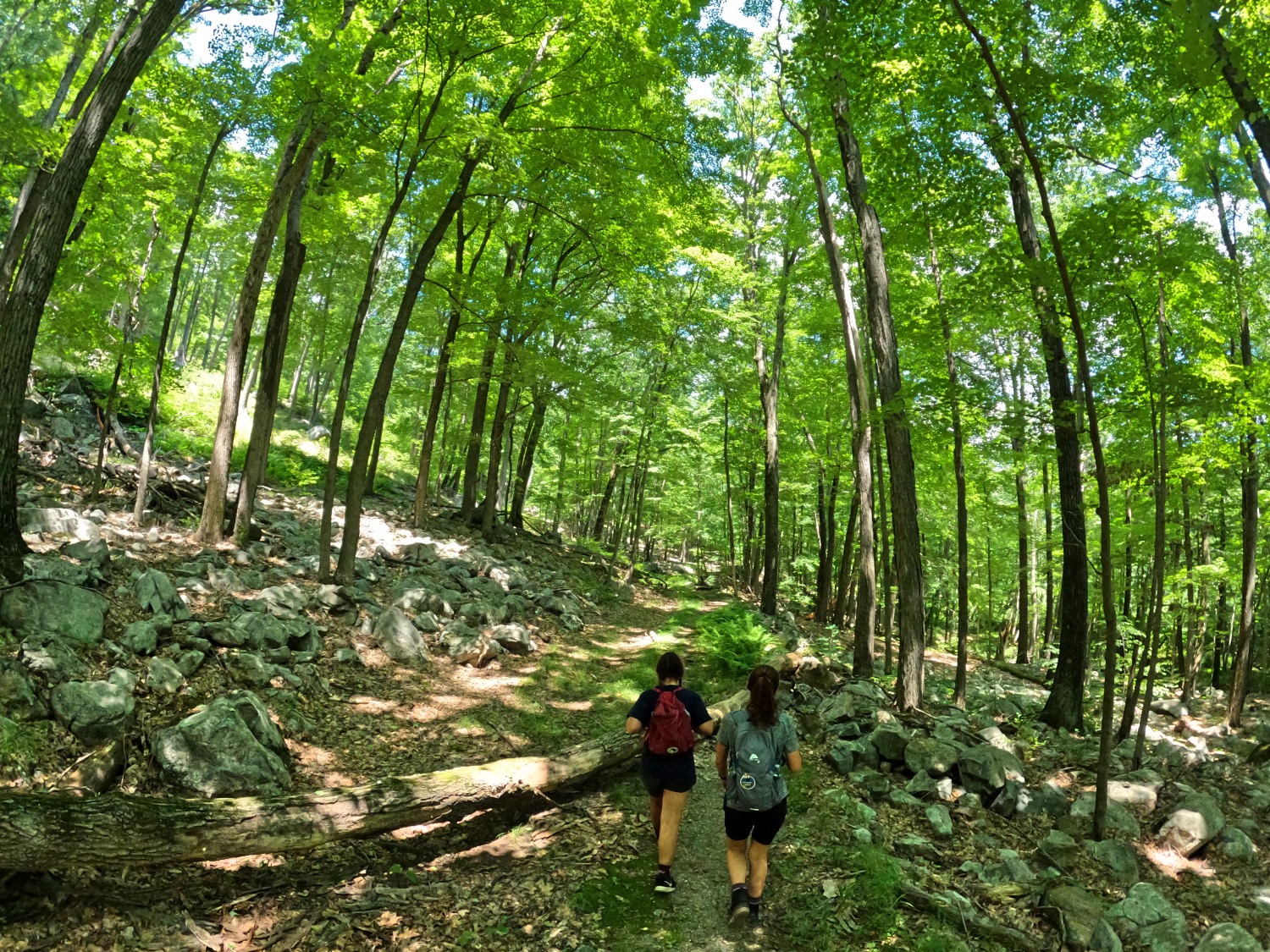 Hiking Black Mountain Trail July 2022