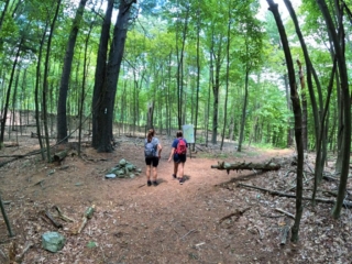 Black Mountain Hiking Trail Images