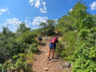 Hiking Harriman State Park Trail Images