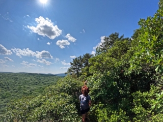 Hiking Harriman State Park Trail Images