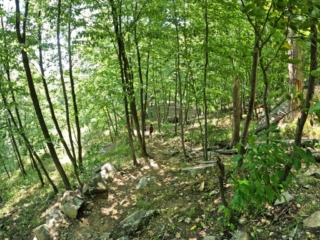 Hiking Harriman State Park Trail Images