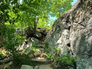 Hiking Harriman State Park Trail Images