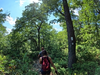 Harriman State Park - Black Mountain Trail loop
