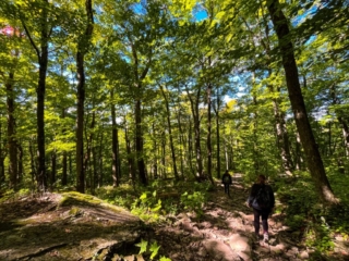 Hiking MT. Tremper Fire Tower Sept 2022
