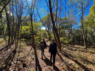 Hiking MT. Tremper Fire Tower Sept 2022