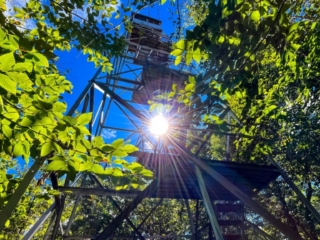 Hiking the Tremper Mountain Fire Tower 2022