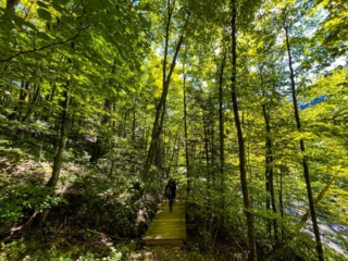 Hiking MT. Tremper Fire Tower Sept 2022