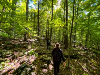 Hiking MT. Tremper Fire Tower Sept 2022