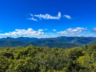 Hiking MT. Tremper Fire Tower Sept 2022