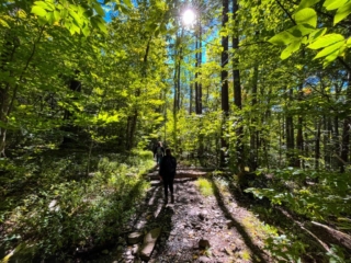 Hiking MT. Tremper Fire Tower Sept 2022