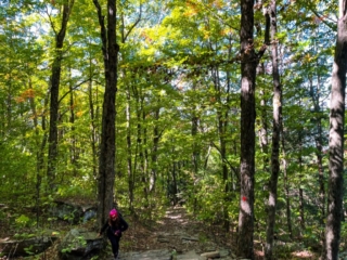 Tremper Mountain Fire Tower 2022 Gallery