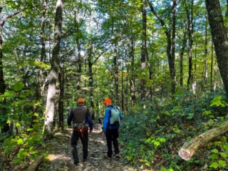 Tremper Mountain Fire Tower 2022 Gallery